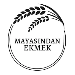 mayasindan-logo-676d86182ff9d